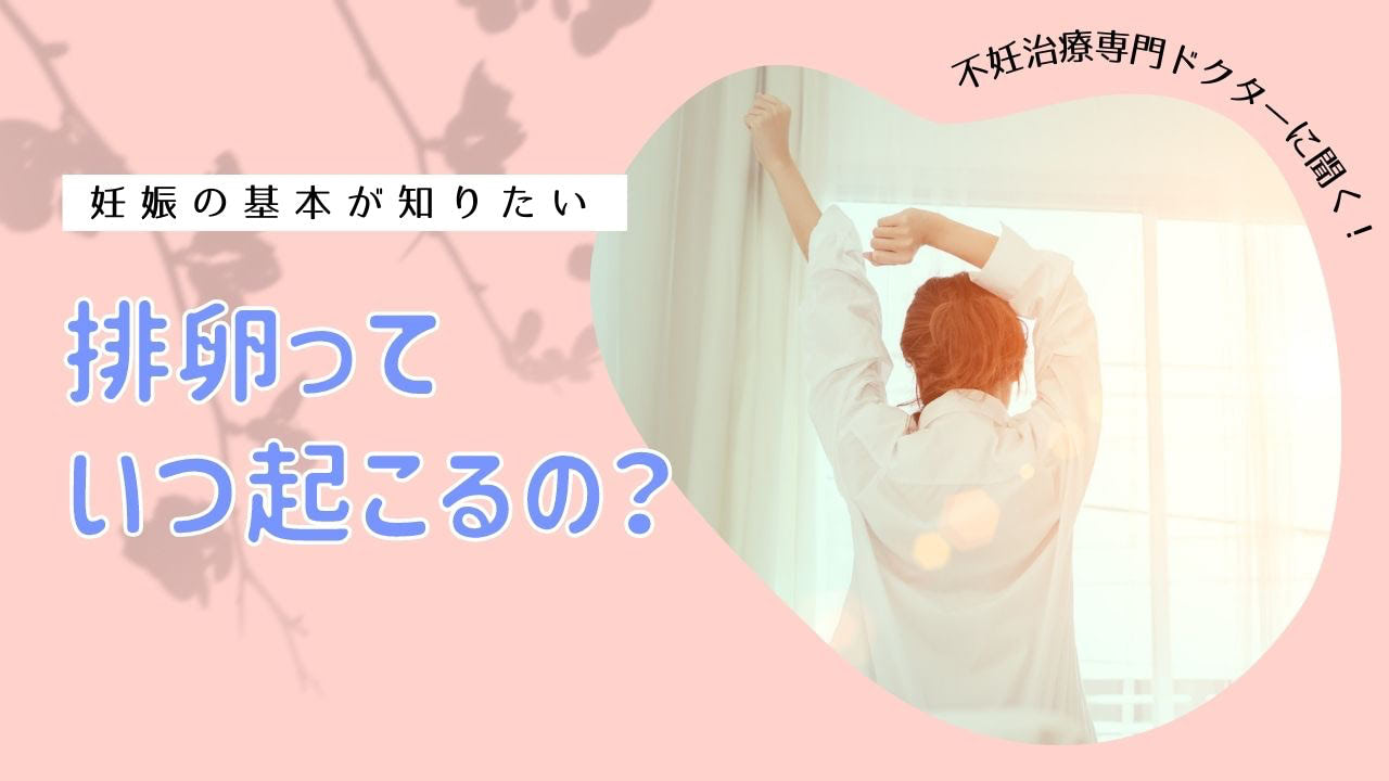 女性の体では何が起こっているの？排卵っていつ起こるの？体温が下がった日が排卵日？【妊娠の基本が知りたい】