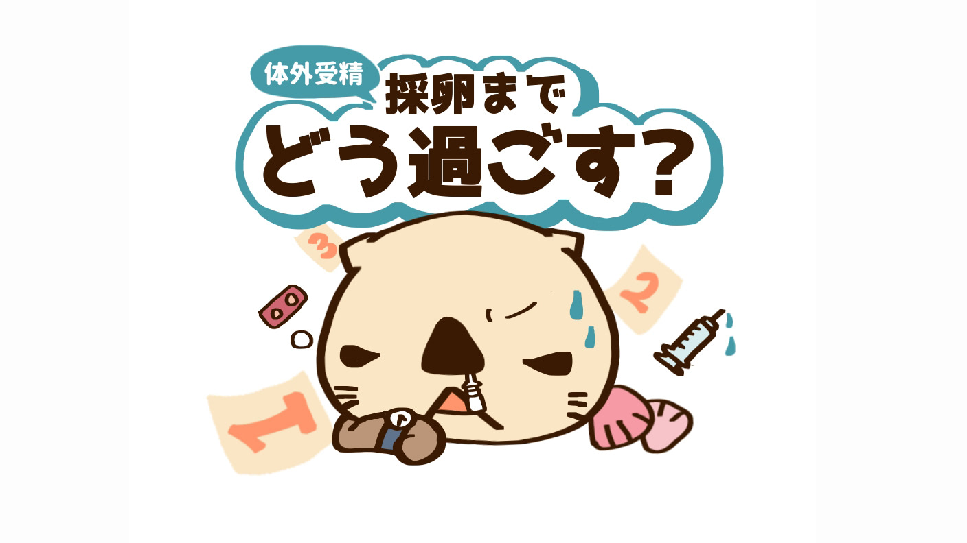 「いつからこんなに育ってた？（笑）」気合十分の卵胞チェック！採卵までの過ごし方はどうしたらいい？ドクターに聞いてみた【10歳差夫婦の妊活体験記】