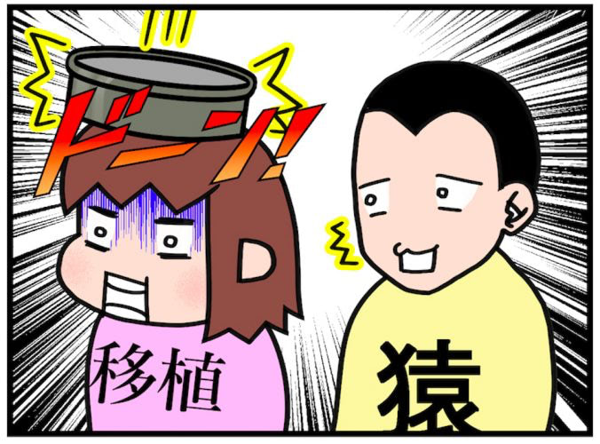 ついに移植！のはずが、まさかの新たな原因が判明！？／不妊治療記ロード・オブ・ザ・ベビー＃３０