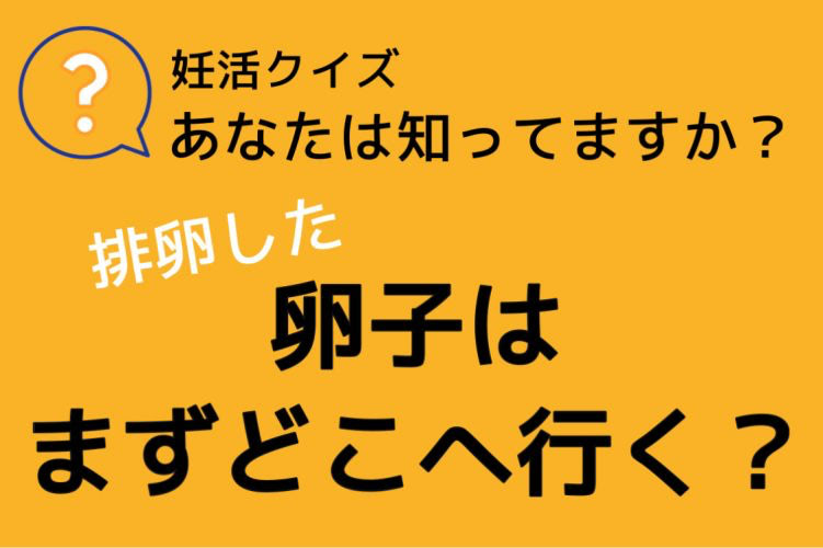 排卵した卵子は、まずどこへ向かう？知っているようで知らない自分の体のコト【妊娠＆妊活クイズ】