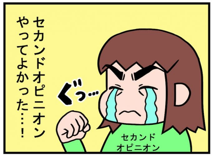 再再検査も乗り越え、セカンドオピニオン完結編！／不妊治療記ロード・オブ・ザ・ベビー＃３４