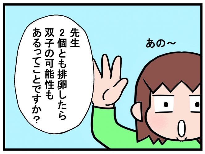 タイミング2周期目。排卵のギモン／不妊治療記ロード・オブ・ザ・ベビー＃4