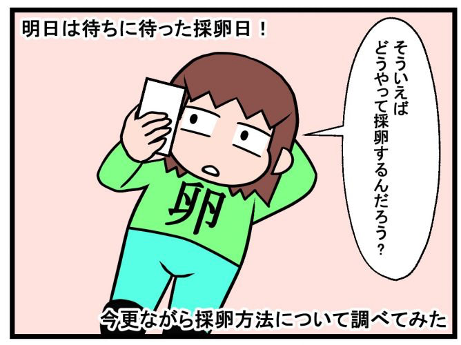 えっと、採卵ってどうやってやるんだ？？／不妊治療記ロード・オブ・ザ・ベビー＃１１
