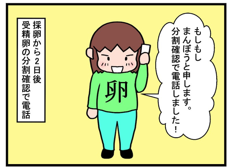 これがわたしの卵子たち…☆まんぼうの受精卵どうなる？／不妊治療記ロード・オブ・ザ・ベビー＃２４