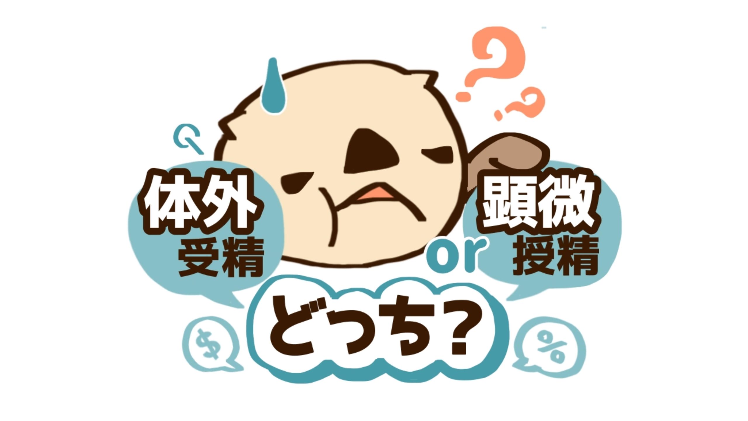 最終的な決め手は「縁起がいい」に限る！判断に迷った体外受精の方法について振り返り【マンガ／10歳差夫婦の妊活体験記】