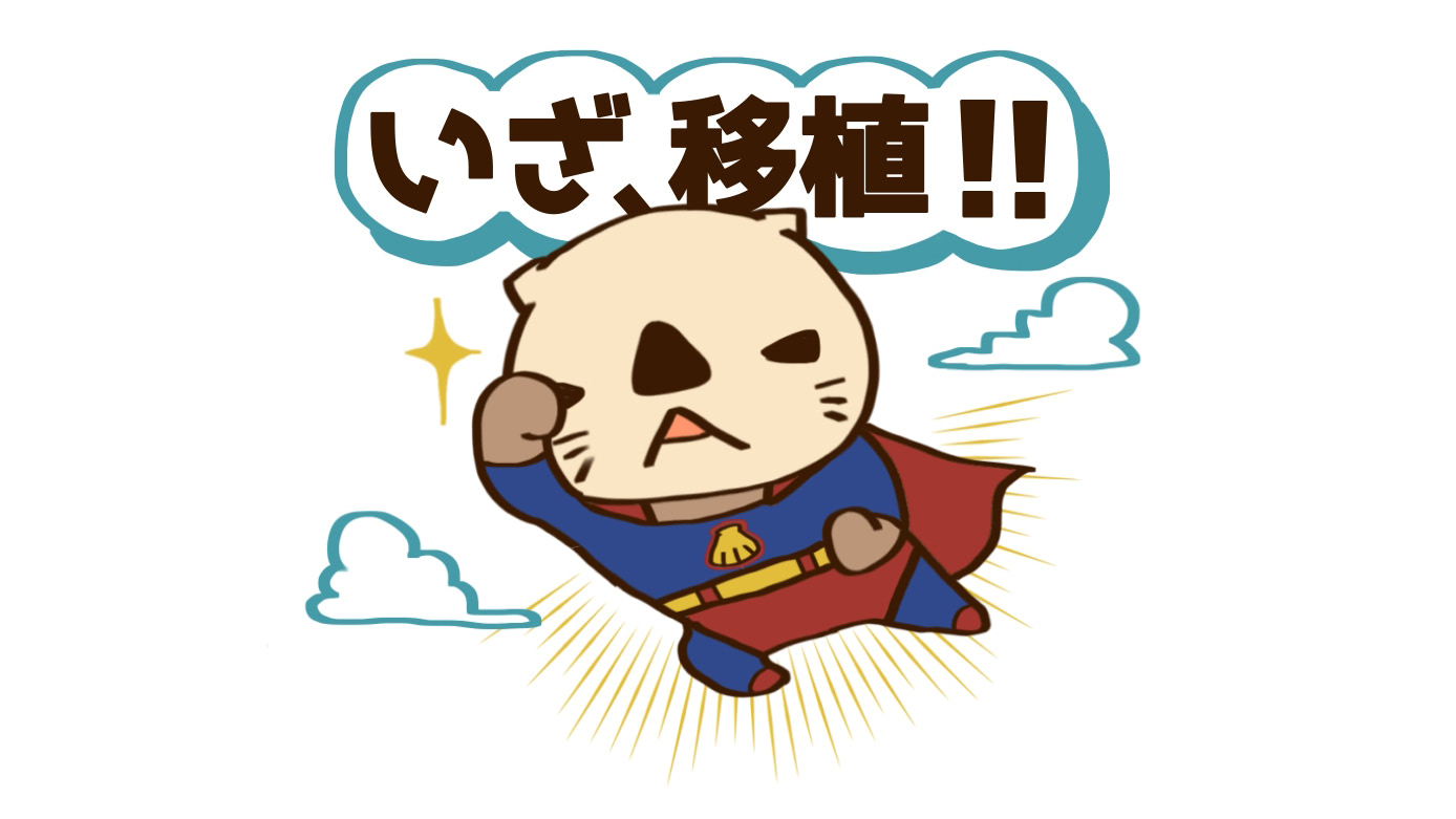 検索魔、卒業します！調べても仕方ない！不安になるだけ！悟りをひらいた私の不妊治療【10歳差夫婦の妊活体験記】