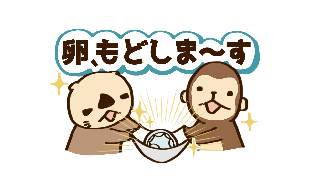 卵をお腹にもどす日が来ました！ほぼ目を瞑っていたクリニックでのあっという間の出来事レポ【10歳差夫婦の妊活体験記】
