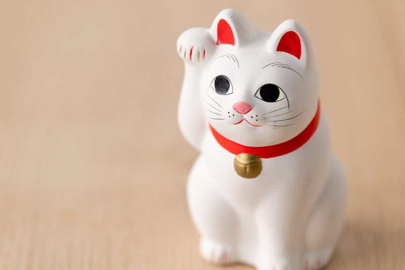 「無駄だから、やらない」はもったいない！風水は『免疫力』を高める手段だった！？【今こそ風水で開運！】