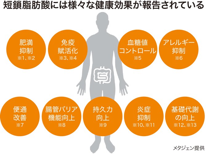 短鎖脂肪酸の健康効果として報告されているもの ・肥満抑制 ・免疫賦活化 ・血糖値コントロール ・アレルギー抑制 ・便通改善 ・腸管バリア機能向上 ・持久力向上 ・炎症抑制 ・基礎代謝の向上