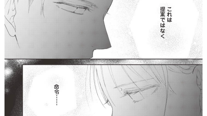 「君のことは調べさせてもらった」愛のない結婚、望まない結婚だったとしても…今は【秘め婚】#3