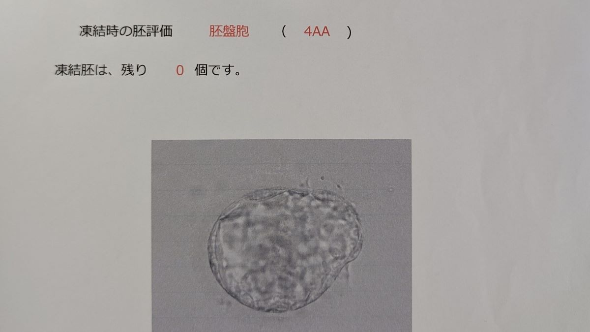 通院するたびに“申し訳なさ”を感じていた。再び採卵からスタートするのも辛い…妊活を休憩することに【100人の妊活・不妊治療記＃004】