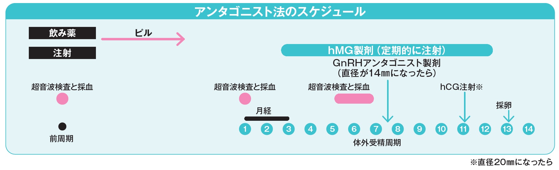 アンタゴニスト法