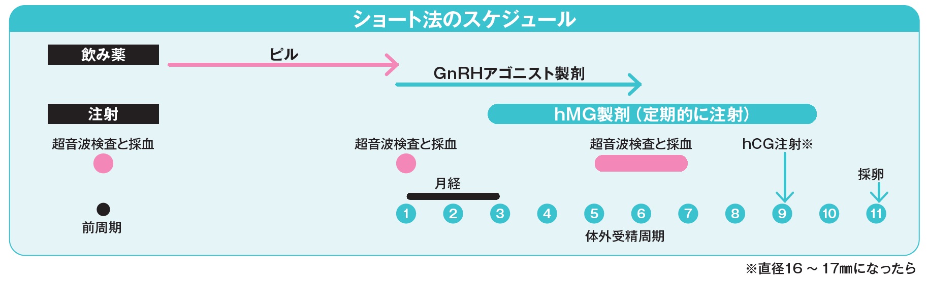 ショート法