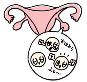 排卵の仕組み