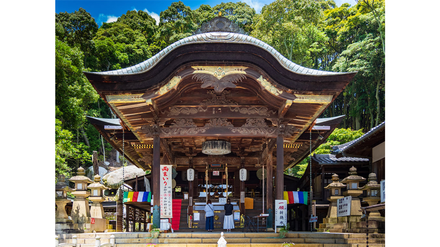 願いが叶う！といわれる御神木を左右ぐるりと。最強子宝神社で授かりパワーをいただこう♡【全国子宝スポット紹介】