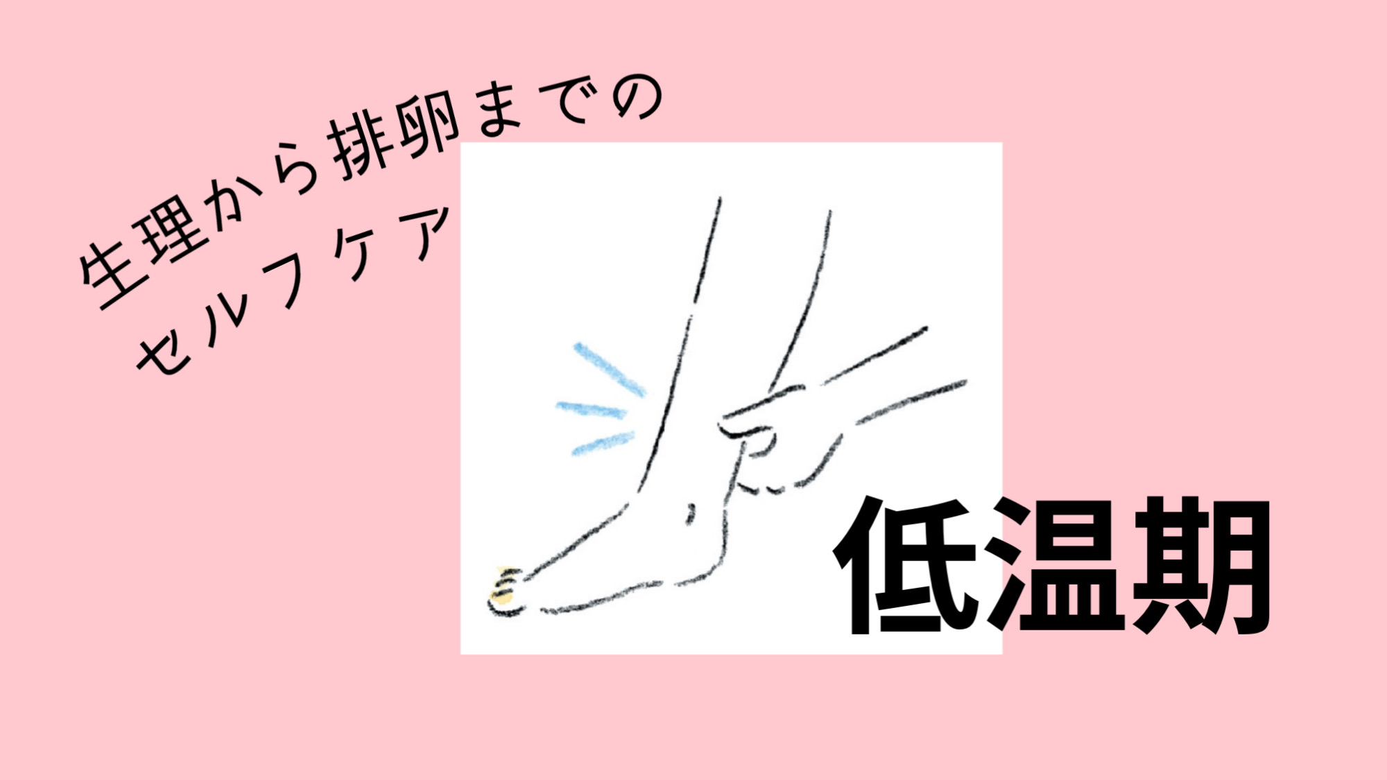 子宝のツボ▶低温期はふかふかの子宮を準備する！【生理から排卵までのセルフケア】
