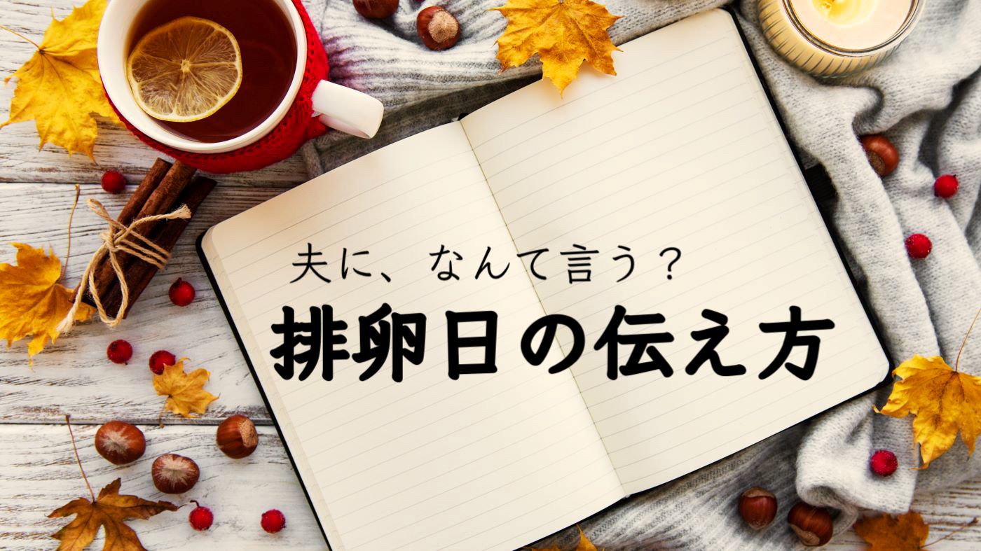 夫に、なんて言う？妻が言い出しにくい【排卵日の伝え方】