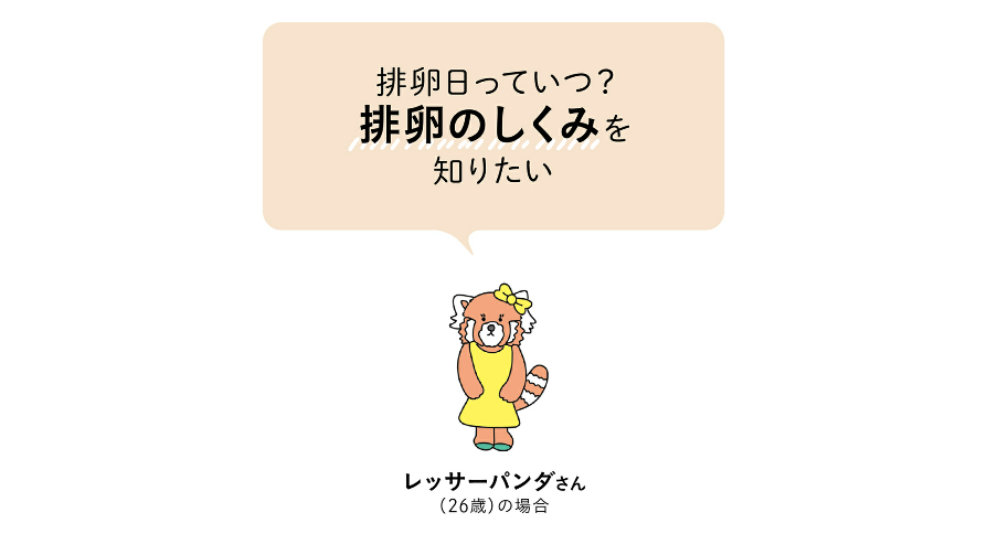 そもそも排卵ってなに？選ばれし卵子が飛び出すって何事？【自分の体を知ろう！プレコンセプションケア】