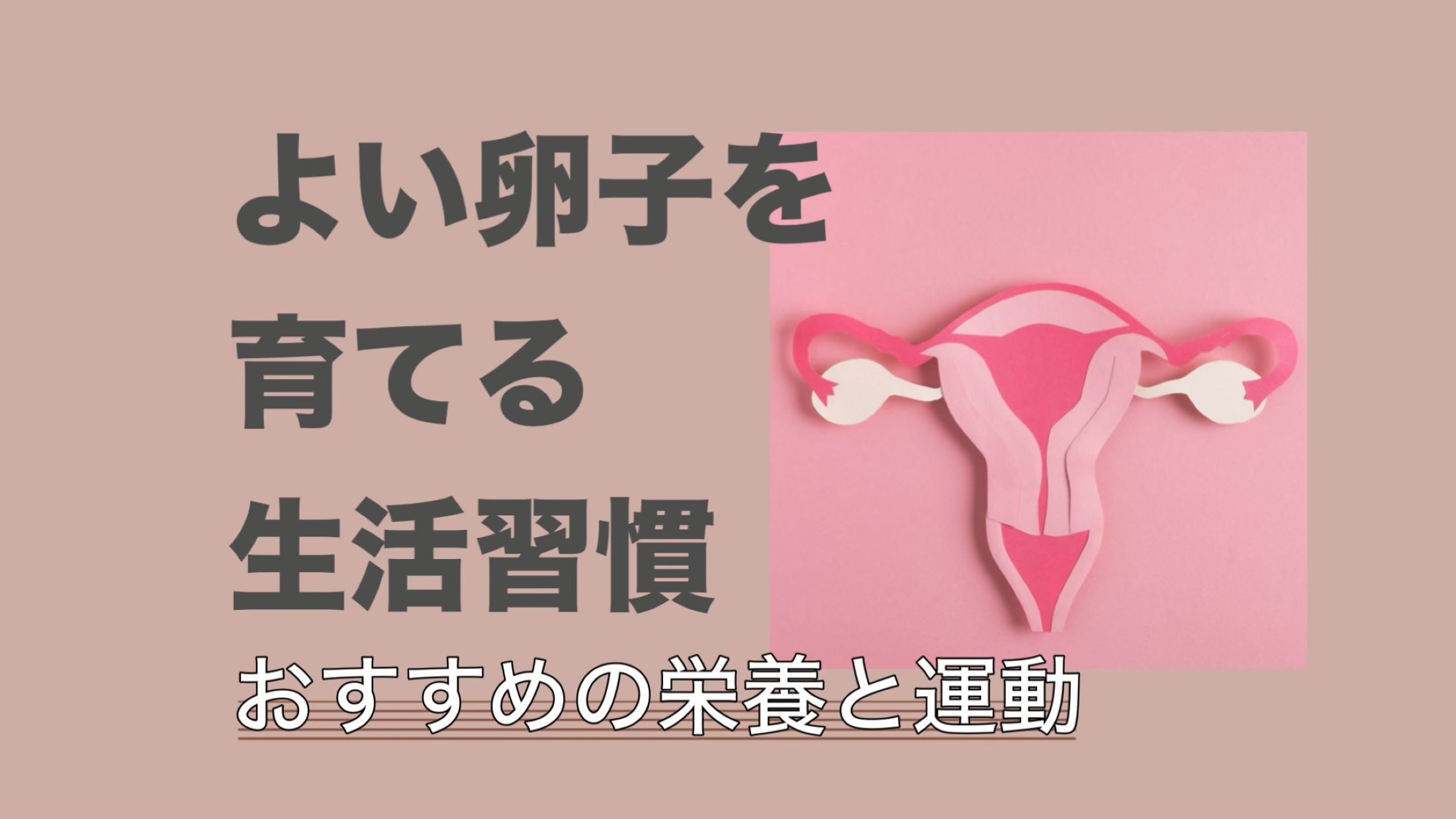 やっぱり栄養と運動が大事だった!よい卵子を育てる生活習慣【不妊治療専門ドクター監修】