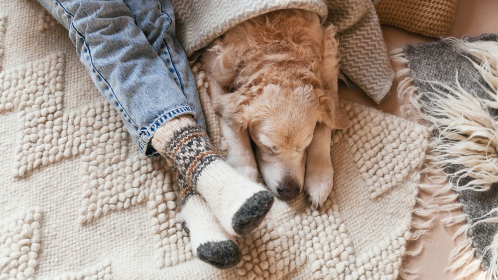 やっぱり冷え性だと妊娠しにくい？体温を上げるためにできることは？【ドクターに聞きました】