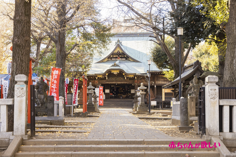 郡司りか　鬼子母神