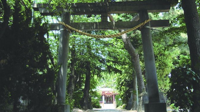 強く美しい女神様を祀る、知る人ぞ知る子宝神社【越谷香取神社】