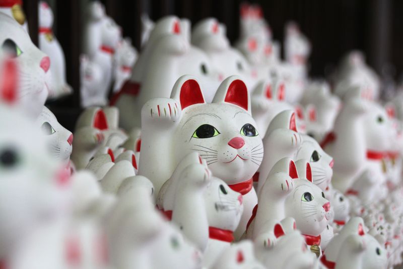 子宝風水　招き猫