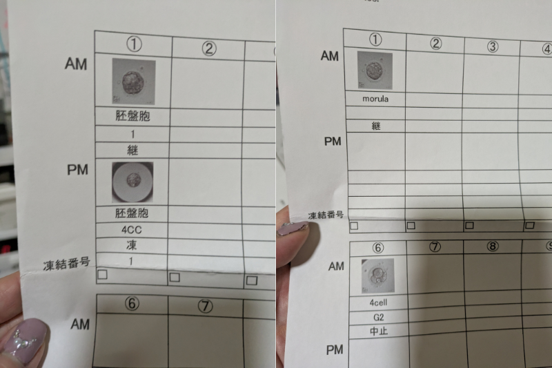 ハナイチゴ関谷友美