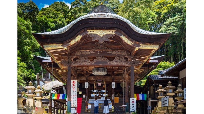 願いが叶う「子授けの御神木」をぐるり！最強子宝神社で授かりパワーをいただき！【全国子宝スポット】