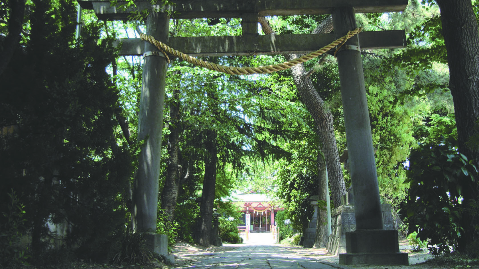 強く美しい女神様を祀る知る人ぞ知る子宝神社【越谷香取神社】