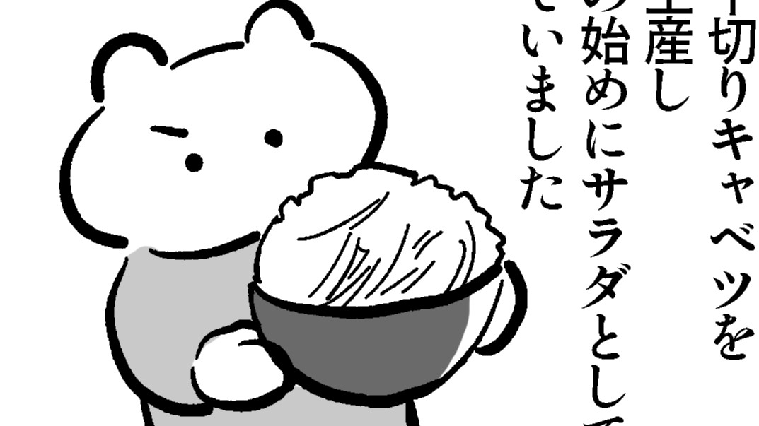 ダイエット継続中！朝昼晩の千切りキャベツ生活にも慣れてきた【たまごひめの妊活記】わたし、多嚢胞性卵巣でした（13）