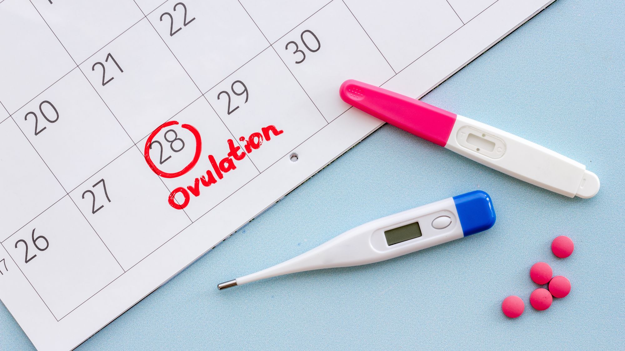 「排卵日予測検査薬」の使い方と判定のしかたを解説！正しく使って排卵日を予測
