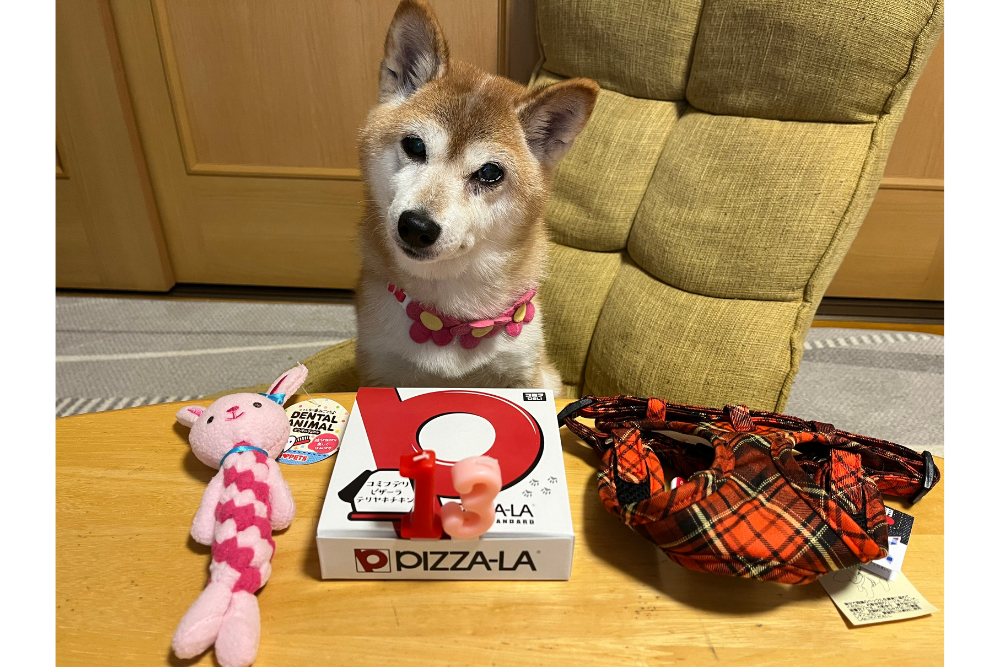 こまめ