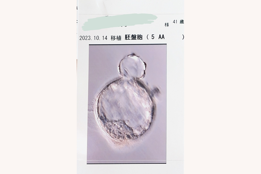 堀まゆみ