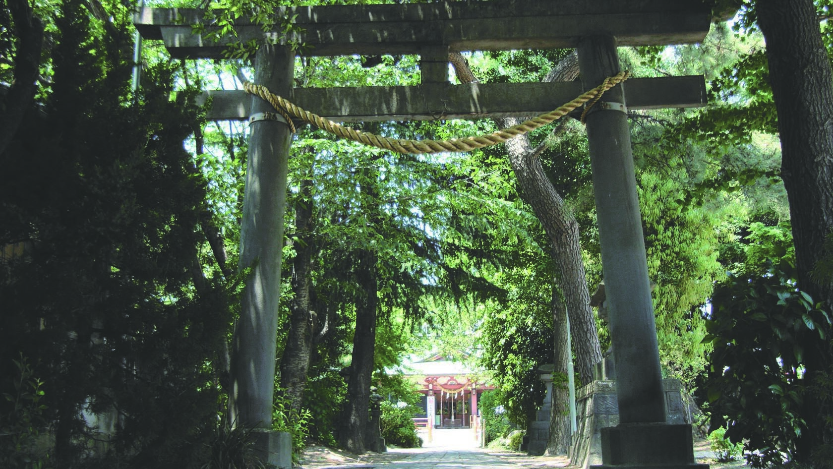 強く美しい女神様を祀る、知る人ぞ知る子宝神社【越谷香取神社】