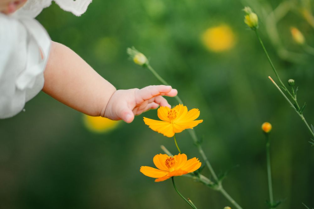 花の名付け