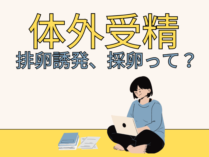 質のよい卵子の確保が重要！排卵誘発（卵巣刺激）と採卵について解説【体外受精まるわかり③】