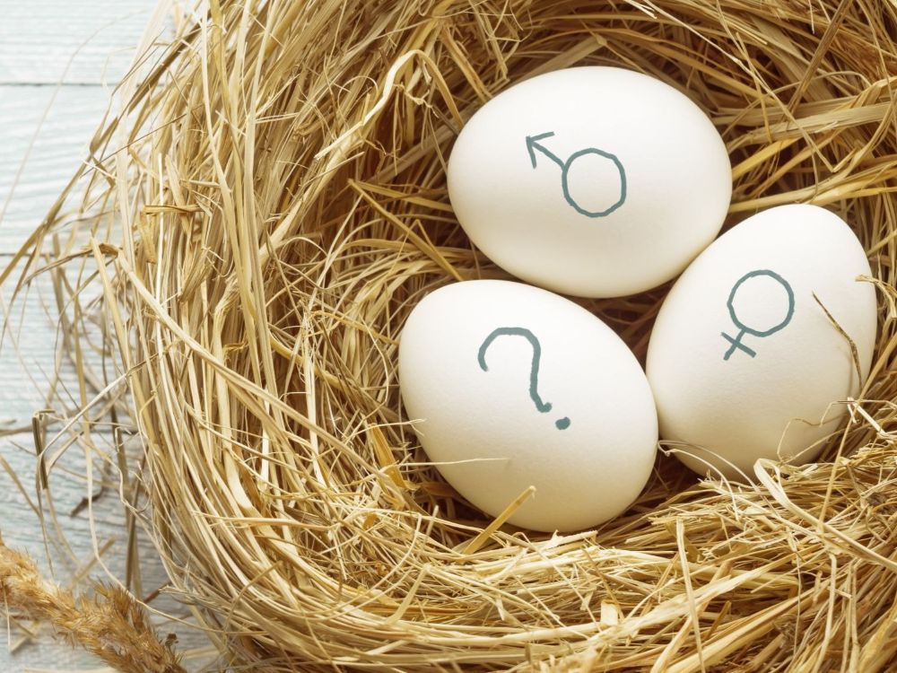 AMH