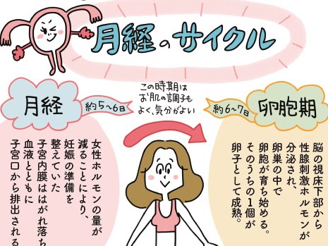 月経サイクルって不思議。肌の調子がいいと思ったら翌日には肌荒れや便秘…その理由をマンガで解説！