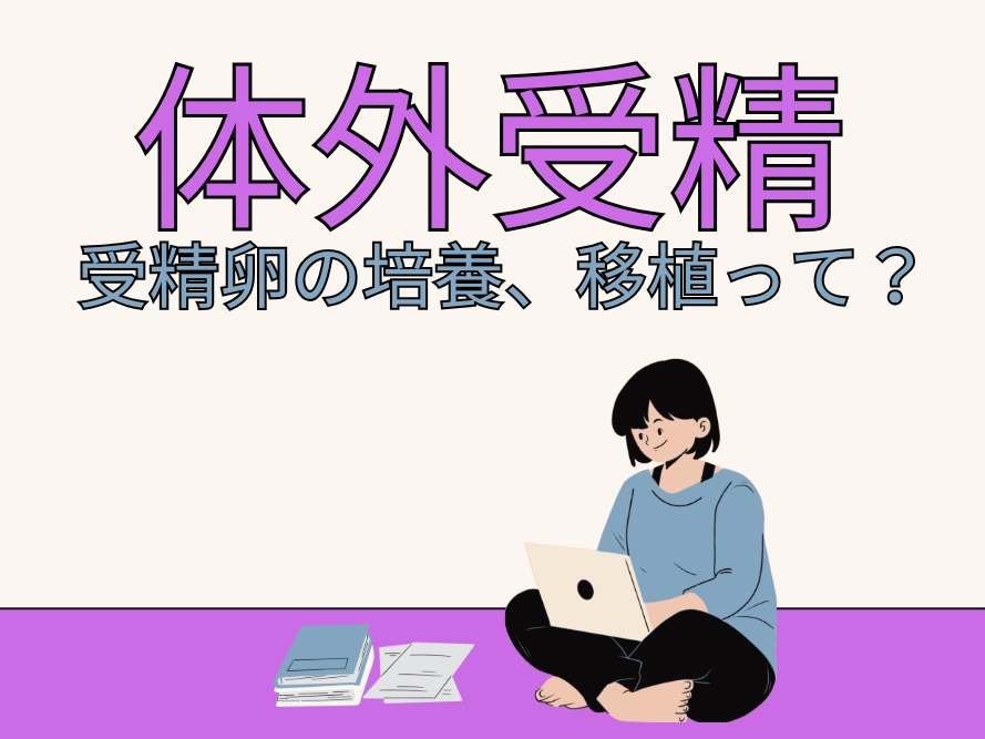 9割以上が凍結融解胚移植で妊娠？採卵後の受精卵の培養と移植について【体外受精まるわかり④】